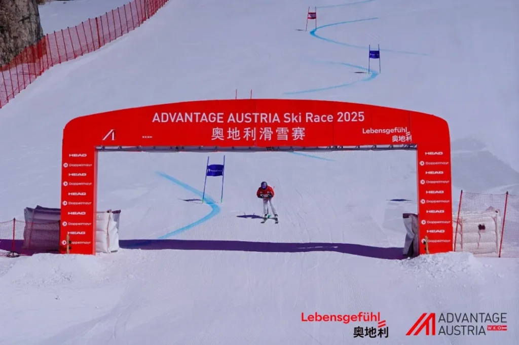 Image Source: Advantage Austria