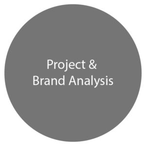 Project & Brand Analysis-100