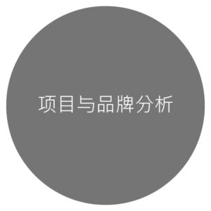 Project & Brand Analysis-100