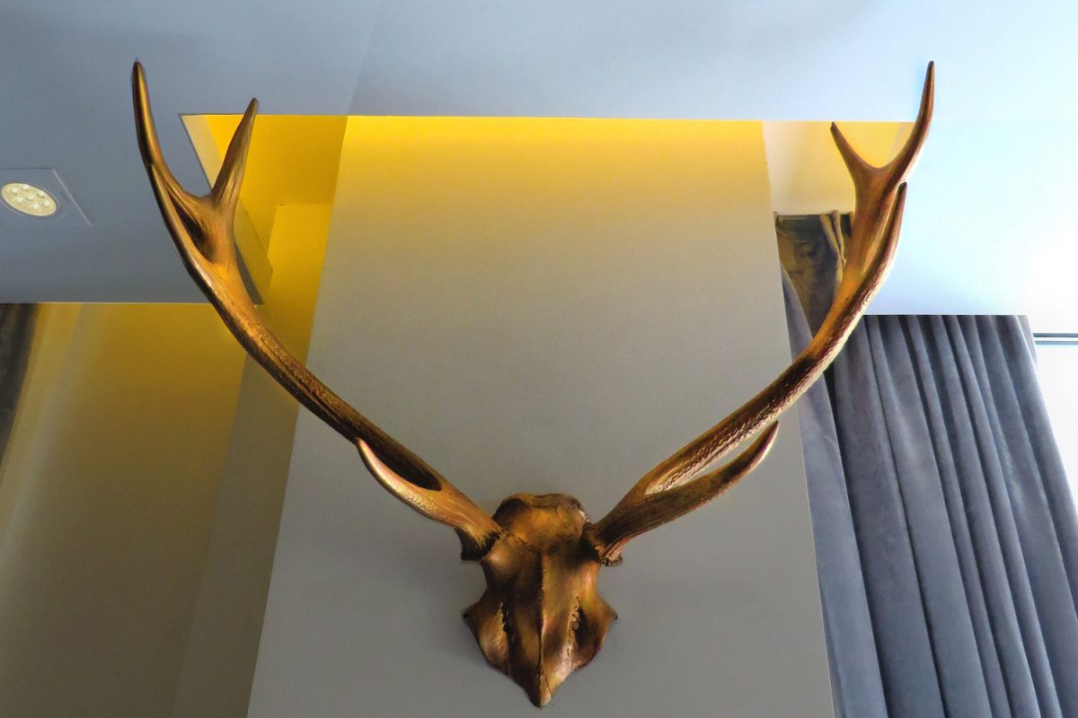 restaurant-design-tafelspitz-nali-patio-beijing-2015