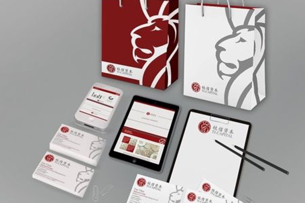visual-identity-design-ti-capital-beijing-2015